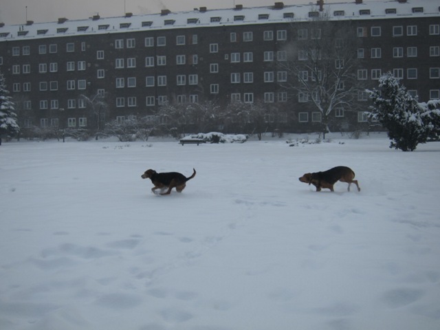 szaaaaaaaaaaaaaalenstwwwwoooooo :)