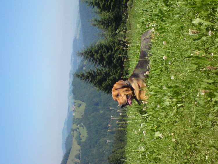 pozowanie
