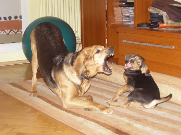 P1013599.JPG