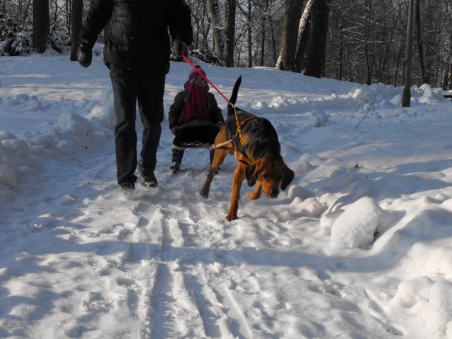 DSCF5001.JPG