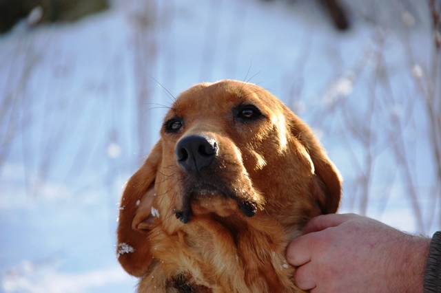 DSC_3514.JPG
