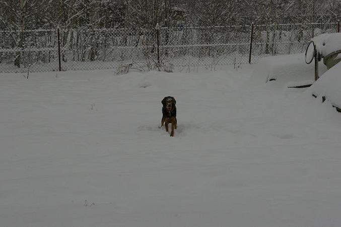 Pora na spacerek :)))))