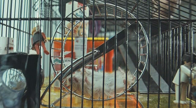 image_film.jpg