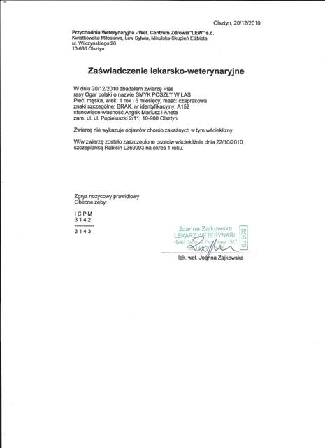 Smyk- badanie zębów.jpg