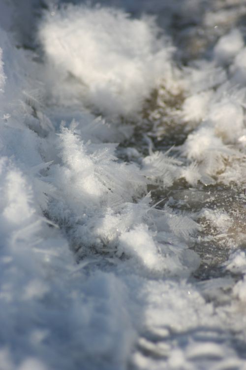 śnieg