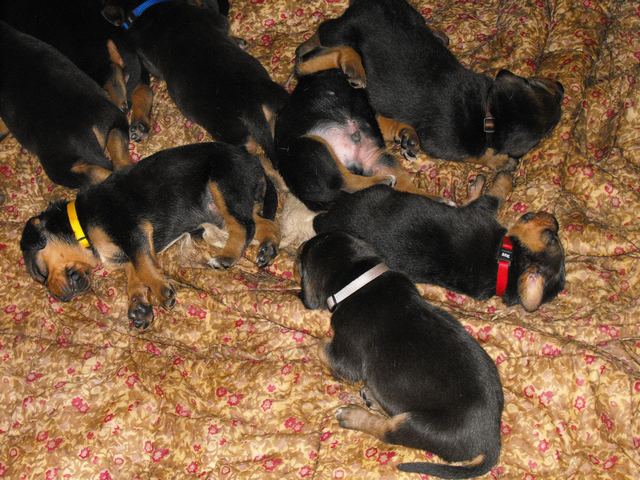 DSCF5013.JPG
