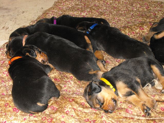 DSCF5014.JPG
