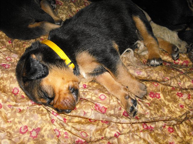 DSCF5017.JPG