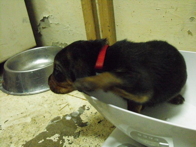 DSCF5038.JPG