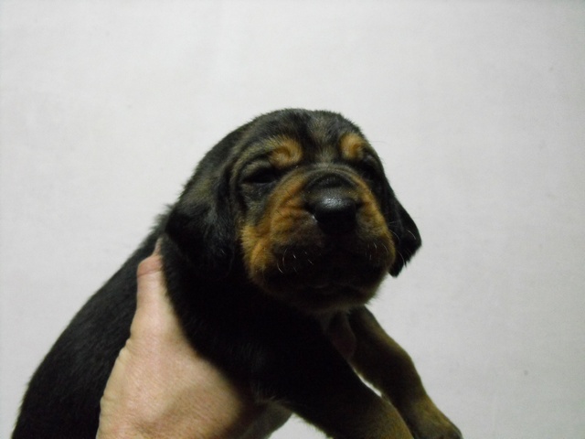 DSCF5040.JPG