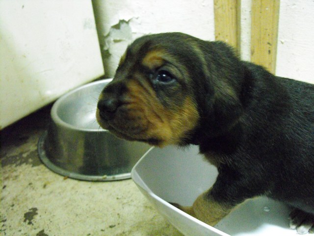 DSCF5043.JPG