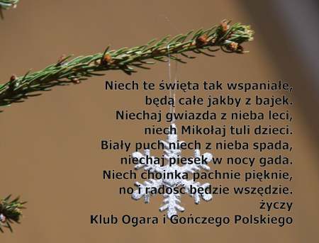 zyczenia strona.jpg