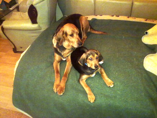 20101216050.jpg