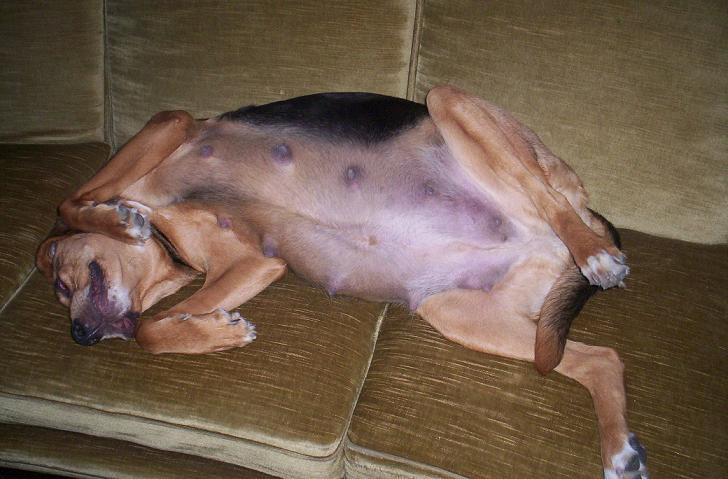 nn 027.JPG