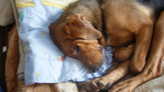 DSC07065.JPG