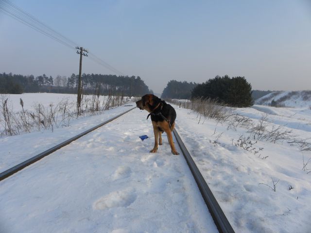 Obraz 036.jpg