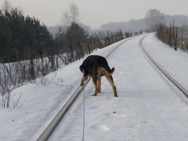 Obraz 037.jpg