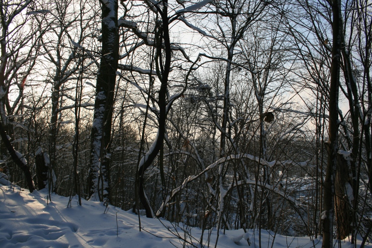 IMG_0318.JPG