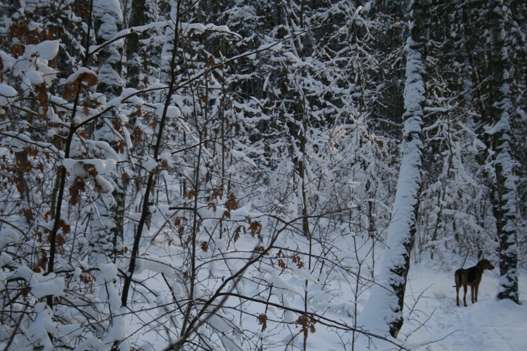 IMG_0328.JPG
