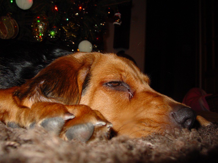 Nowy Rok 2011 .....jpg