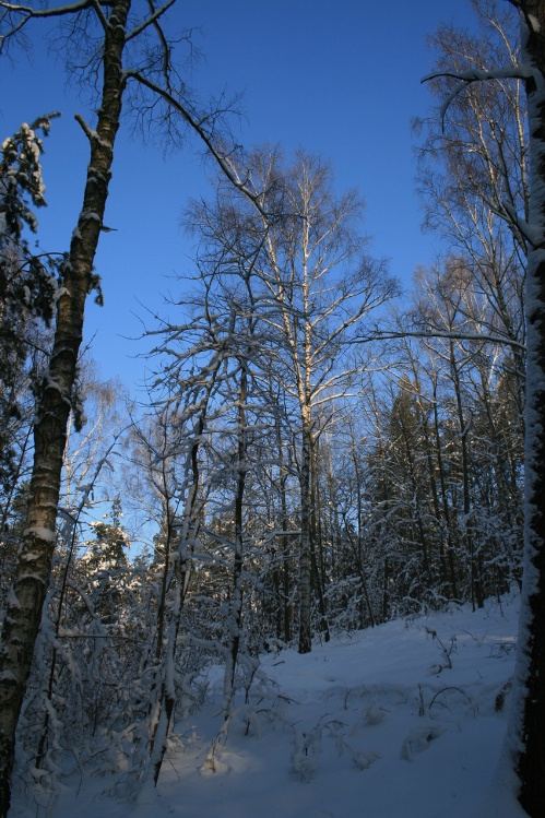 IMG_0335.JPG