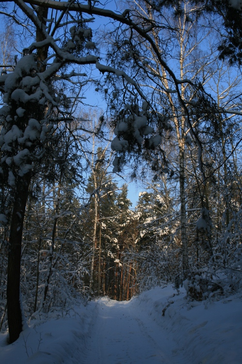 IMG_0336.JPG