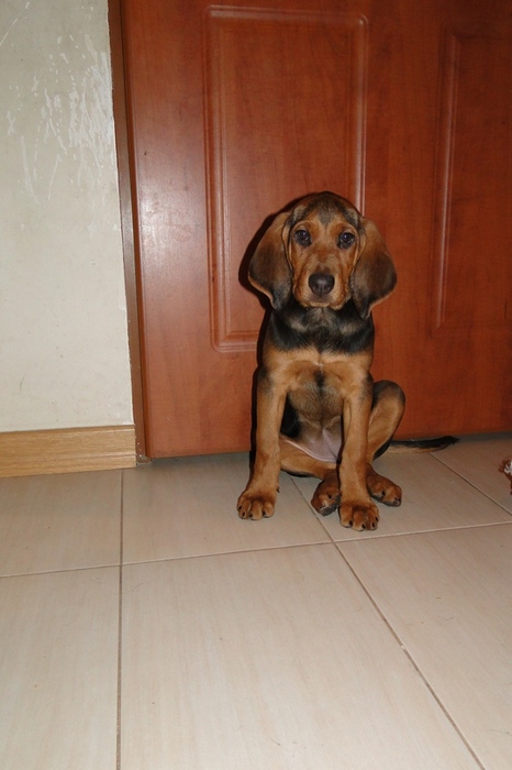 DSC00614.JPG