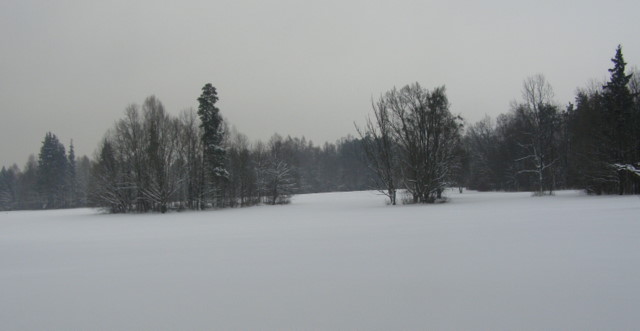 Park Pałacowy w stylu angielskim