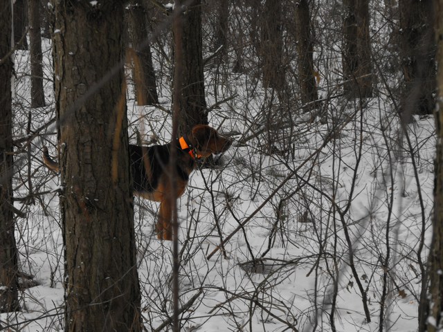 DSCF5007.JPG