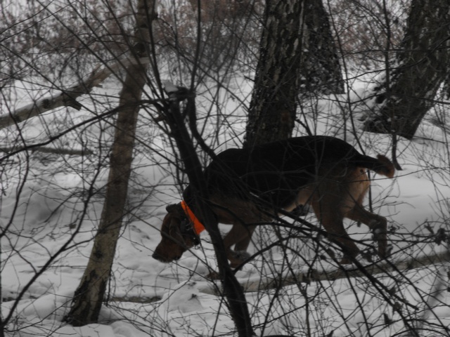 DSCF5009.JPG