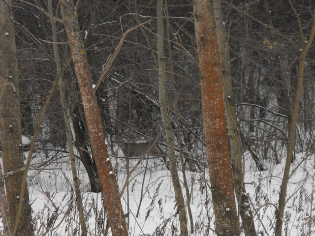 DSCF5017.JPG