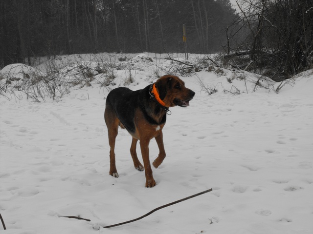 DSCF5021.JPG
