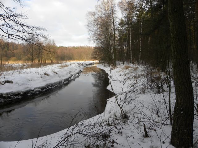 Obraz 077.jpg