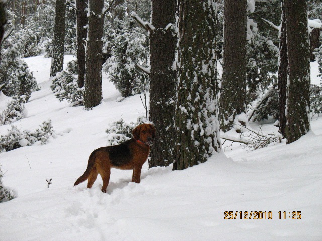 zima 2010 112.JPG