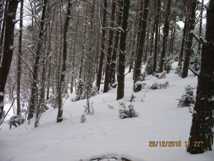 zima 2010 101.JPG
