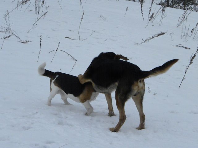 Obraz 029.jpg