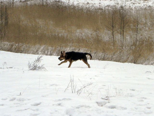 Obraz 122.jpg