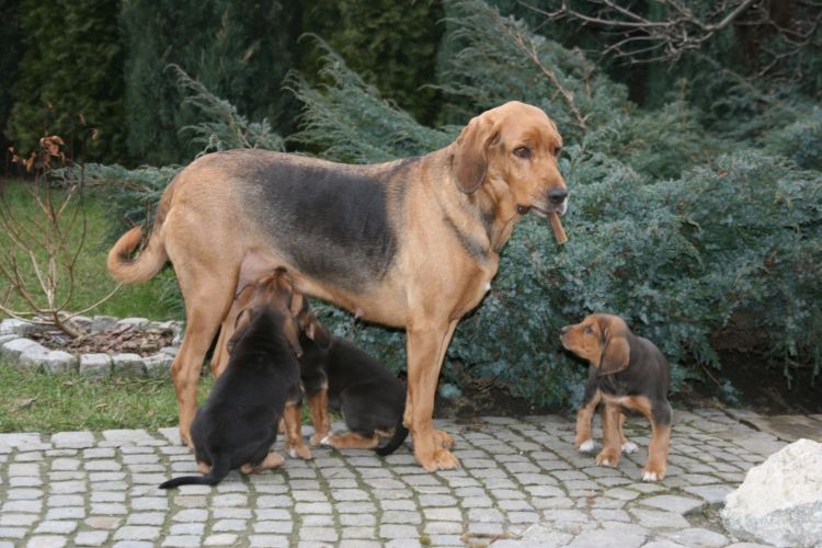 kolejne wzmocnienie urwisów