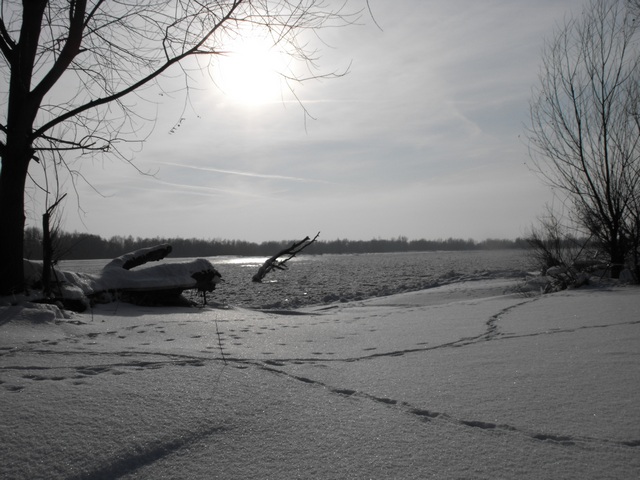 Wisła