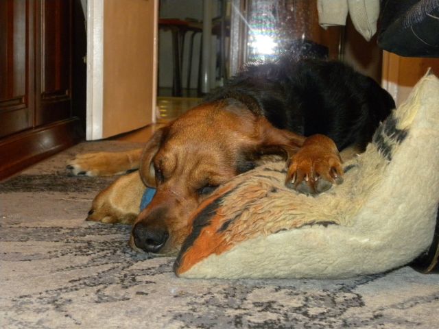 Obraz 016.jpg