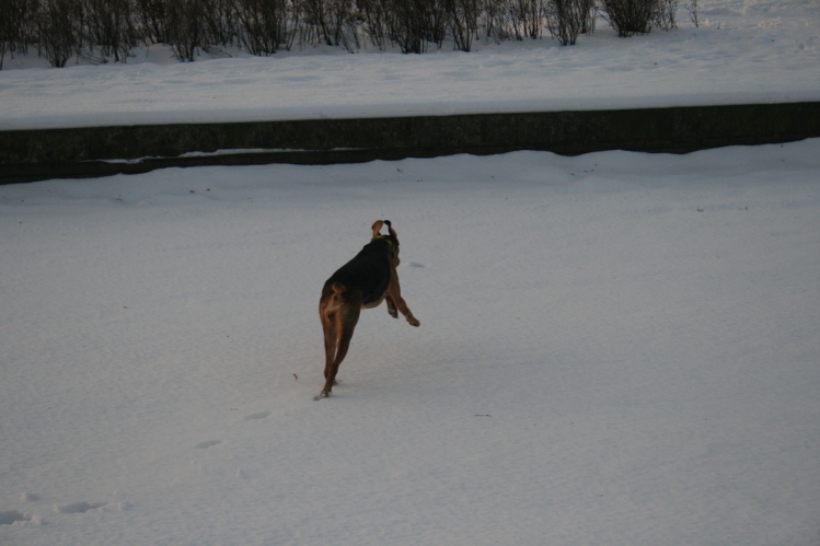 IMG_0255.JPG