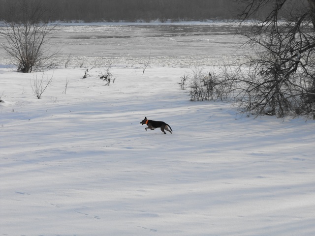 DSCF5058.JPG