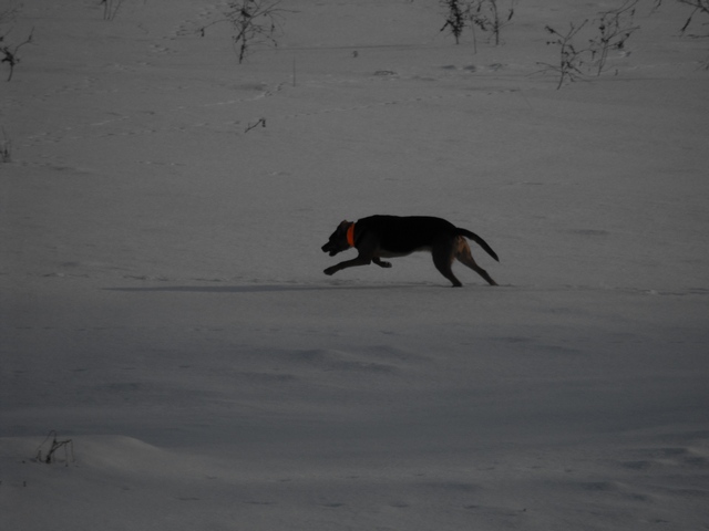DSCF5059.JPG