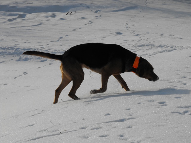 DSCF5065.JPG