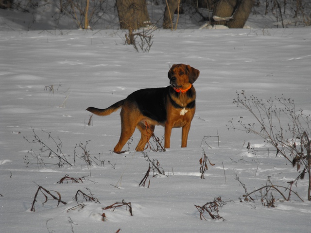 DSCF5103.JPG