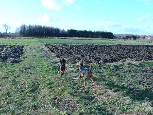W słoneczku.