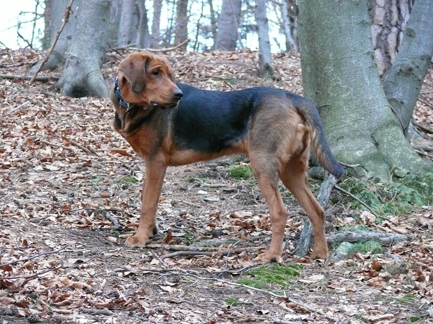 Ruchy! Czekam na Was!