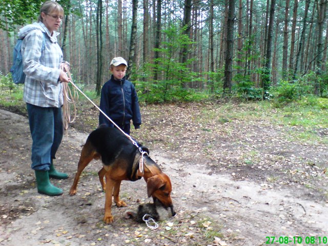 Smyk trenuje 1.JPG