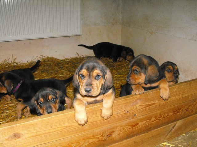 DSCF5199.JPG
