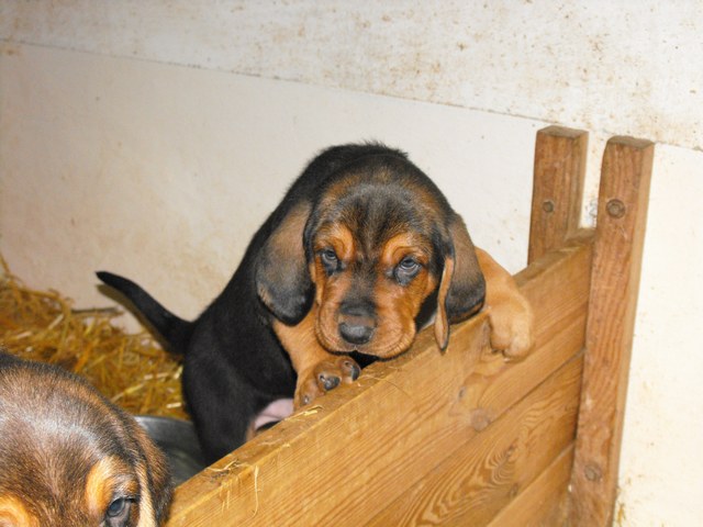 DSCF5202.JPG